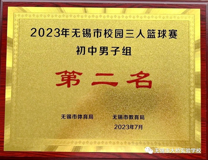 职业球员如何通过联赛提升竞技水平_2